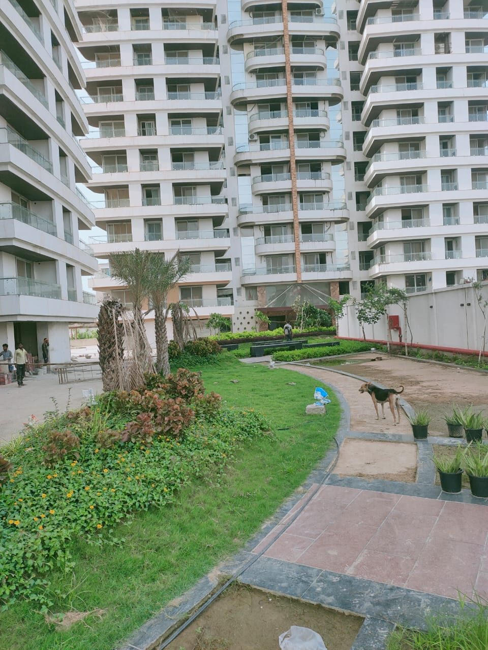 Hotels and Hospitality Landscapes